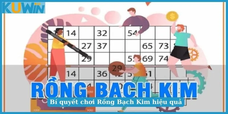 Bí Quyết Soi Cầu Rồng Bạch Kim Chuẩn Chỉnh Cho Tân Thủ 2 Tìm hiểu về Rồng Bạch Kim