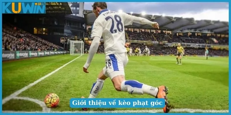 101 Điều Cần Biết Về Soi Kèo Phạt Góc Trong Bóng Đá 4 Mẹo soi kèo phạt góc không nên bỏ qua