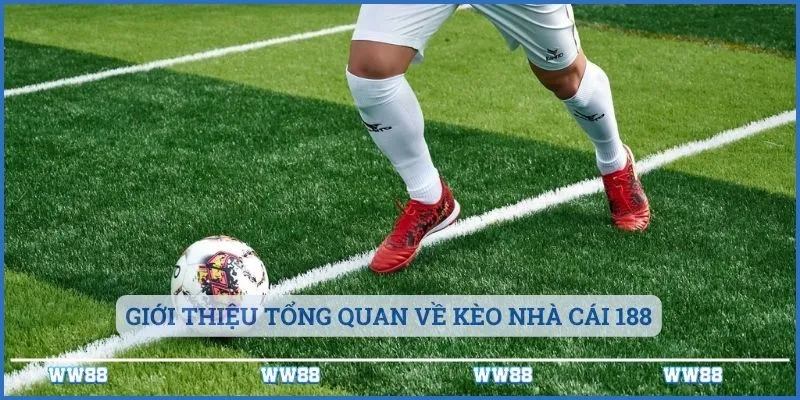Kèo Nhà Cái 188 Những Thông Tin Cần Phải Nắm Rõ 2 Giới thiệu tổng quan về kèo nhà cái 188
